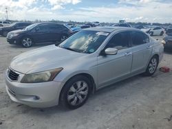 2010 Honda Accord EXL for sale in Arcadia, FL