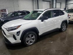 Toyota rav4 salvage cars for sale: 2024 Toyota Rav4 LE