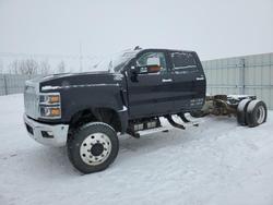 Salvage trucks for sale at Nisku, AB auction: 2023 International CV515
