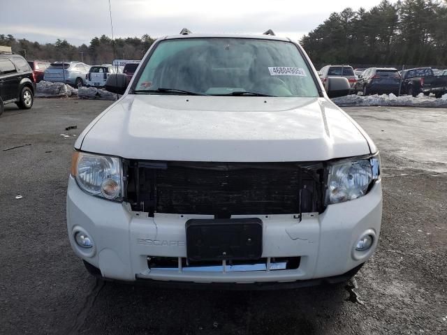 2009 Ford Escape XLT