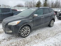 Ford Escape salvage cars for sale: 2014 Ford Escape SE