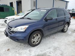 Honda salvage cars for sale: 2010 Honda CR-V EX