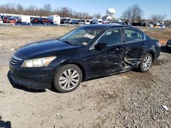 Honda Accord salvage cars for sale: 2011 Honda Accord EXL