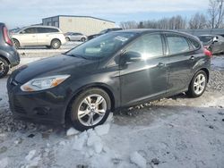 Ford Focus salvage cars for sale: 2014 Ford Focus SE