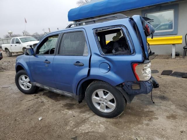 2009 Ford Escape XLT