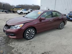 Honda Accord salvage cars for sale: 2017 Honda Accord Hybrid