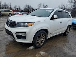 KIA salvage cars for sale: 2013 KIA Sorento SX