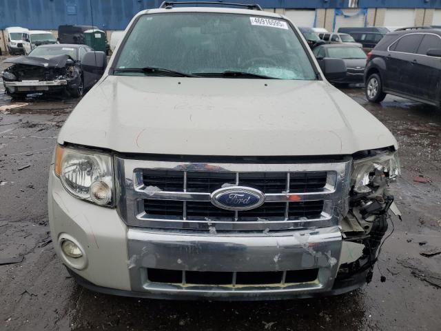 2009 Ford Escape XLT