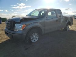 Vehiculos salvage en venta de Copart Brighton, CO: 2010 Ford F150 Super Cab