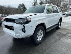 Toyota 4runner salvage cars for sale: 2024 Toyota 4runner SR5/SR5 Premium