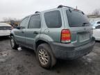 2005 Ford Escape XLS