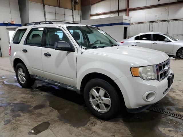 2011 Ford Escape XLS