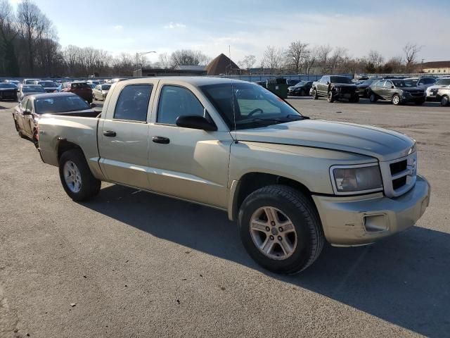 2011 Dodge Dakota SLT