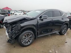 2025 Lexus NX 250 Base for sale in Grand Prairie, TX