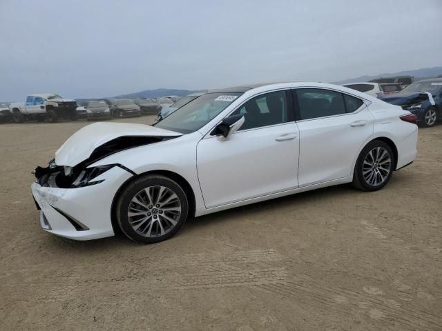 2019 Lexus ES 350