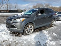 Ford Escape salvage cars for sale: 2015 Ford Escape Titanium