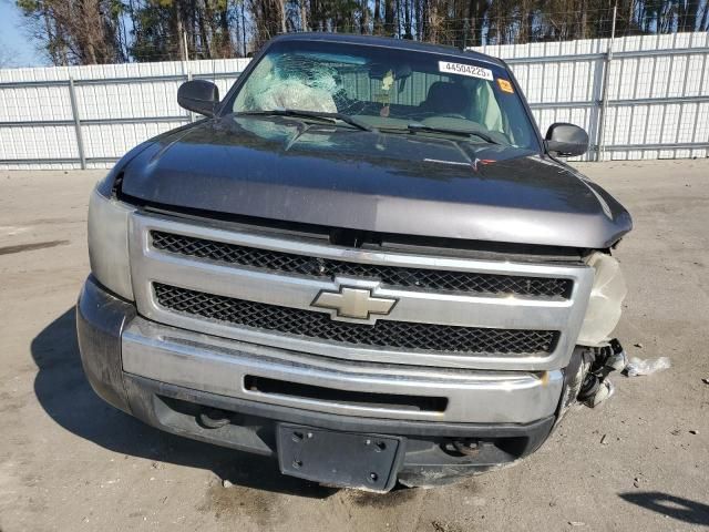 2010 Chevrolet Silverado K1500 LS