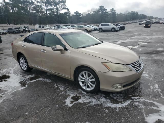 2010 Lexus ES 350