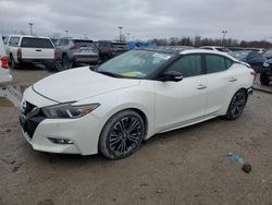 Nissan Maxima salvage cars for sale: 2016 Nissan Maxima 3.5S