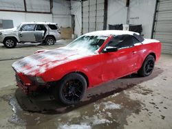 2014 Ford Mustang for sale in Lexington, KY