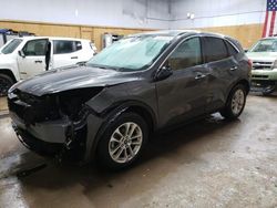 Salvage cars for sale from Copart Kincheloe, MI: 2020 Ford Escape SE