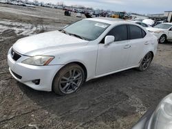 Lexus salvage cars for sale: 2008 Lexus IS 250