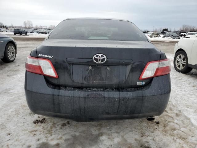 2009 Toyota Camry Hybrid