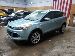 Ford Escape Titanium salvage cars for sale: 2013 Ford Escape Titanium