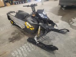 Skidoo Snowmobile salvage cars for sale: 2009 Skidoo 2009 Skidoo MXZ