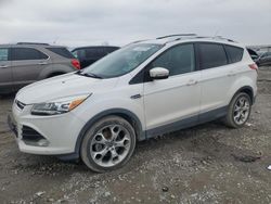 Ford Escape Titanium salvage cars for sale: 2013 Ford Escape Titanium