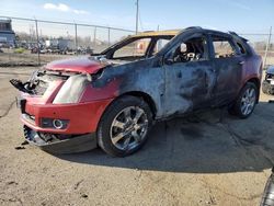 Cadillac salvage cars for sale: 2011 Cadillac SRX Performance Collection