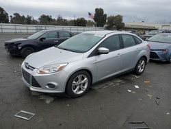 Ford Focus salvage cars for sale: 2013 Ford Focus SE