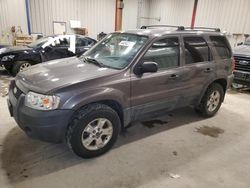 Ford salvage cars for sale: 2005 Ford Escape XLT