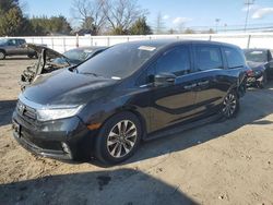 Honda Odyssey exl salvage cars for sale: 2021 Honda Odyssey EXL