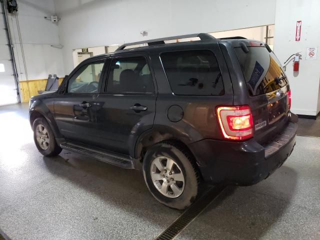 2009 Ford Escape Limited