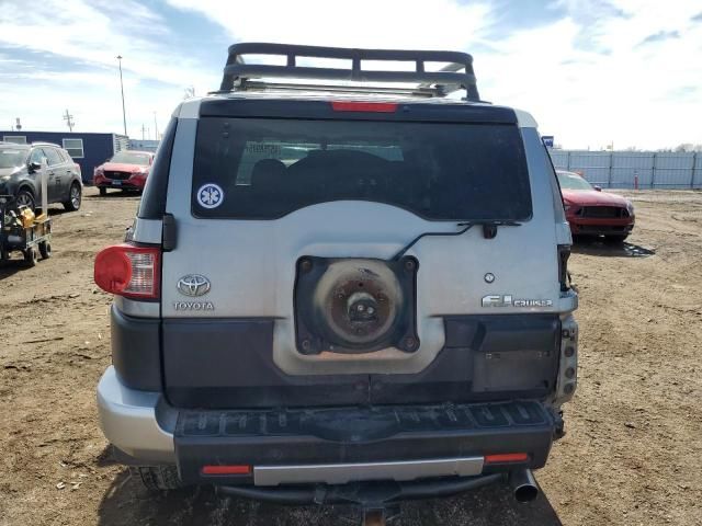 2010 Toyota FJ Cruiser