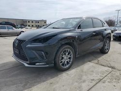 Lexus nx 300 Base salvage cars for sale: 2019 Lexus NX 300 Base