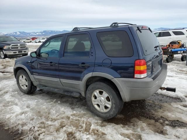 2002 Ford Escape XLT