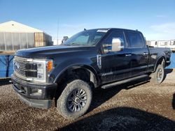 Salvage cars for sale from Copart Rocky View County, AB: 2019 Ford F350 Super Duty