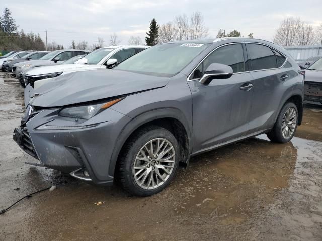 2021 Lexus NX 300 Base