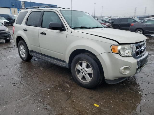 2009 Ford Escape XLT