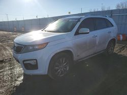 2013 KIA Sorento SX for sale in Greenwood, NE