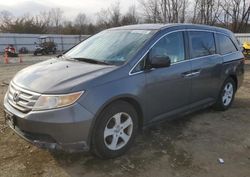 Honda salvage cars for sale: 2011 Honda Odyssey EXL