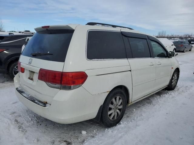 2008 Honda Odyssey EXL