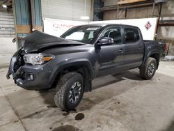 Toyota Tacoma salvage cars for sale: 2016 Toyota Tacoma Double Cab