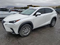 Lexus nx 300 Base salvage cars for sale: 2019 Lexus NX 300 Base