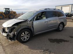 Honda Vehiculos salvage en venta: 2016 Honda Odyssey EXL