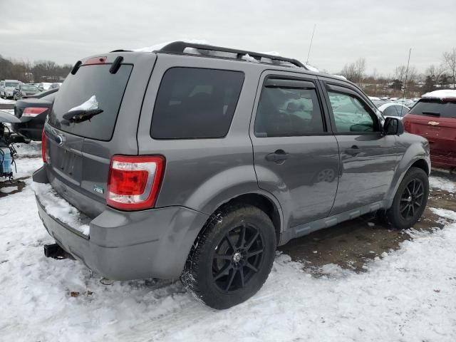 2011 Ford Escape XLT