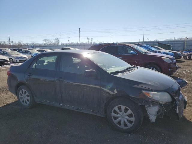 2009 Toyota Corolla Base