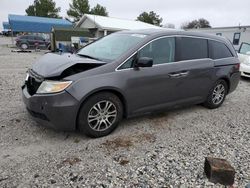 Honda Odyssey exl salvage cars for sale: 2013 Honda Odyssey EXL